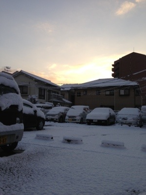20130129-094659.jpg