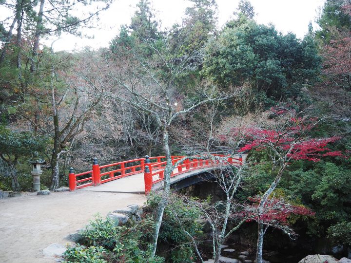 「紅葉谷公園」(2019年12月15日)
