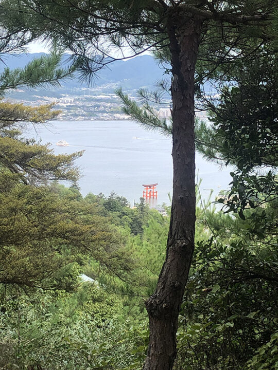 弥山からの鳥居