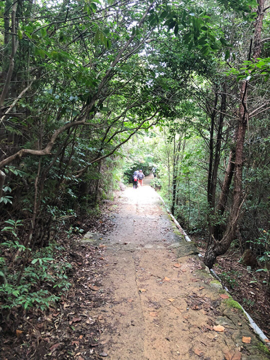 弥山からの帰り道