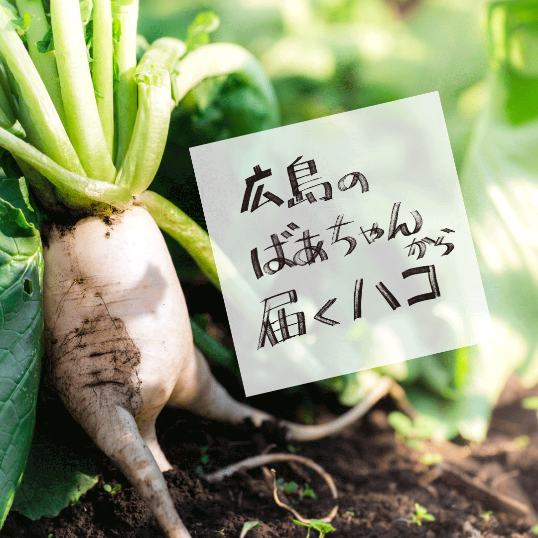 規格外野菜のサブスク「広島のばぁちゃんから届くハコ」始まりました